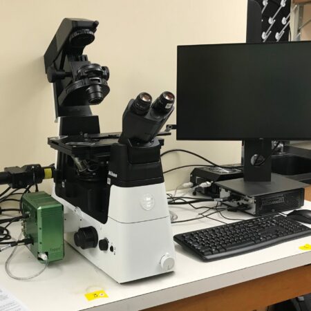 Fluorescence Lifetime Imaging Microscopy system