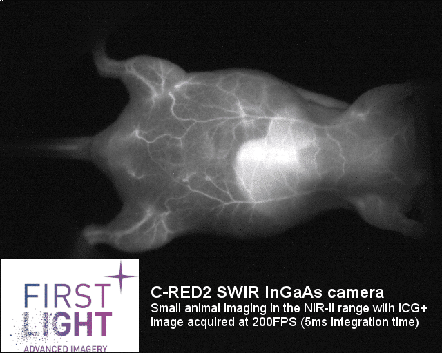 Small animal imaging 1/2