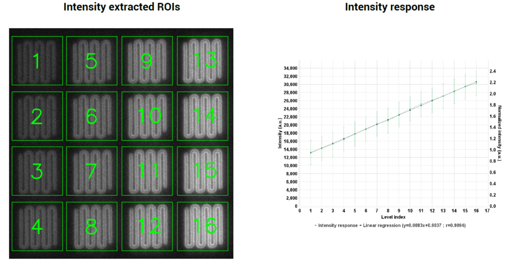 Argolight intensity pattern imaged with FL-20BW camera 200 ms exposure.