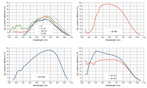 ELSE-s Spectroscopy Camera QE Curve