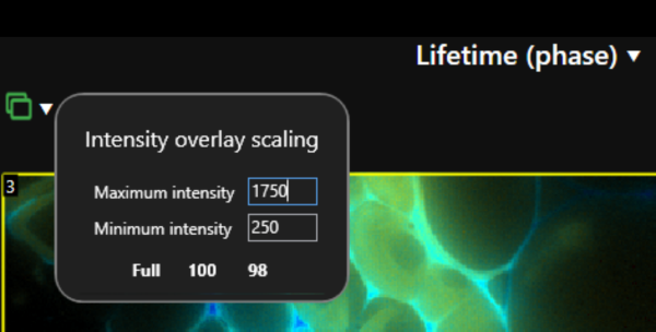 Lifetime Overlay Option