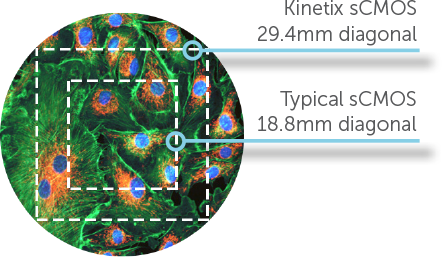 Kinetix & Kinetix22 High-Speed sCMOS Cameras - Large FOV