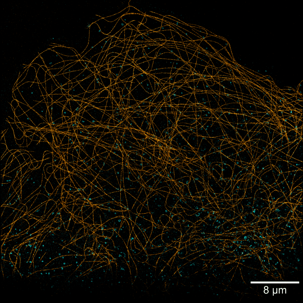 PAINT for single molecule localization