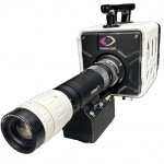 Cricket Pro 2 - no background