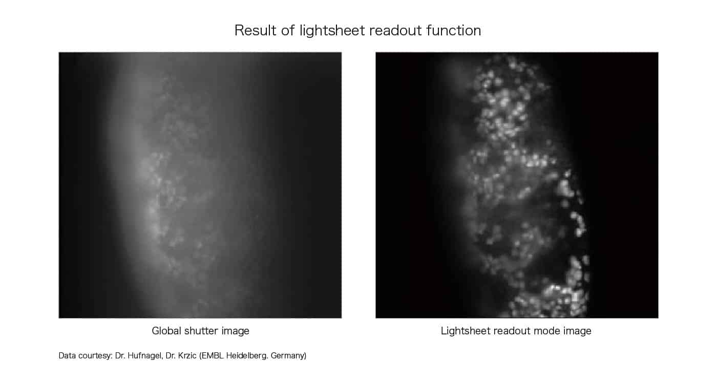 Result of lightsheet readout function