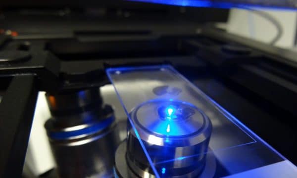 Main Differences Between Confocal and Widefield Microscopy