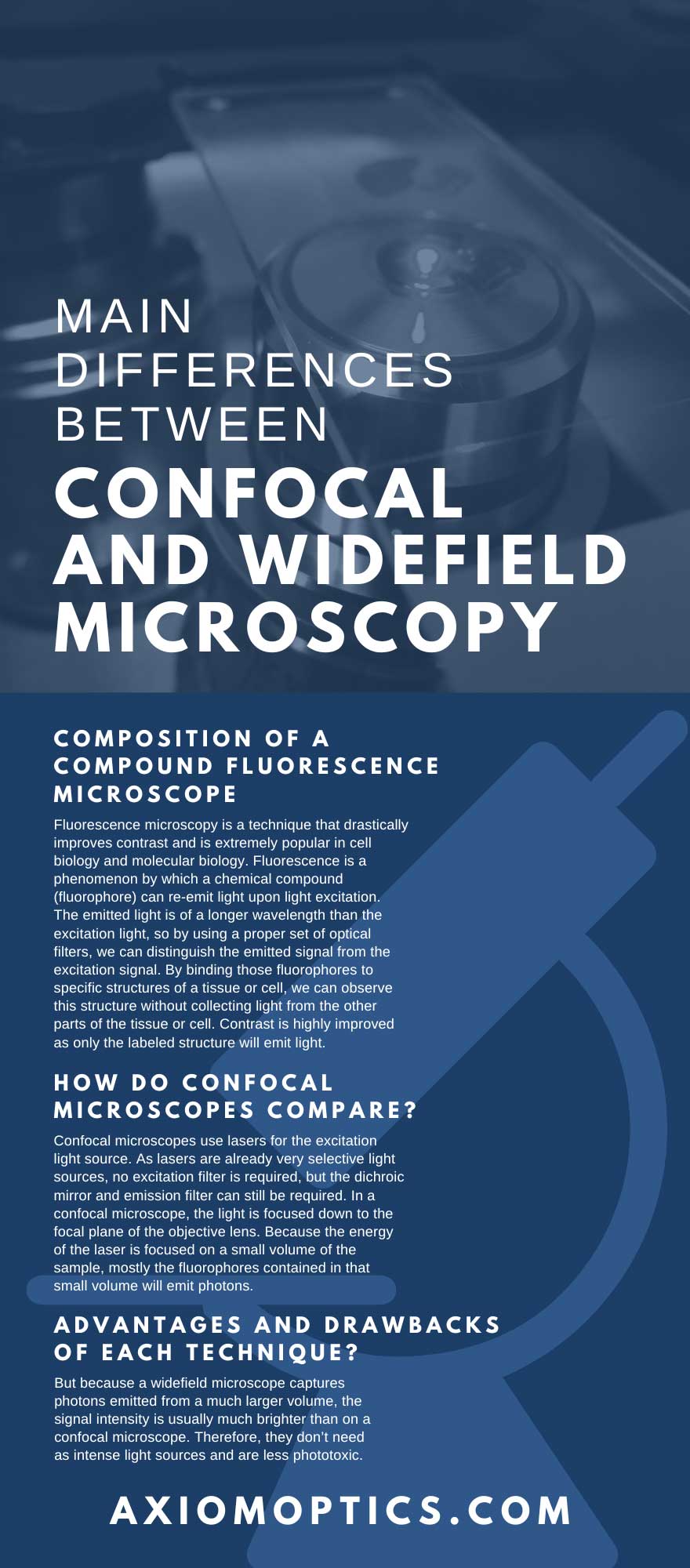 Main Differences Between Confocal and Widefield Microscopy