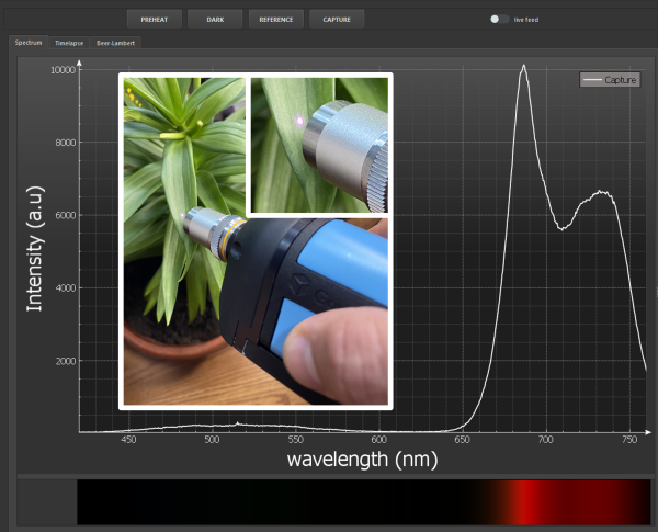 Portable spectroscopy chlorophyll