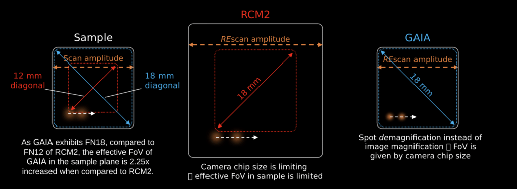 GAIA point-rescanning confocal microscopy - FOV comparison