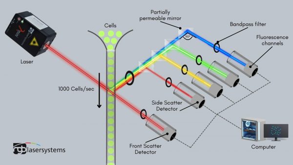 Flow Cyometry diagram 