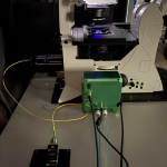 Screenshot 2025-11-21 at 4.12.14 PM