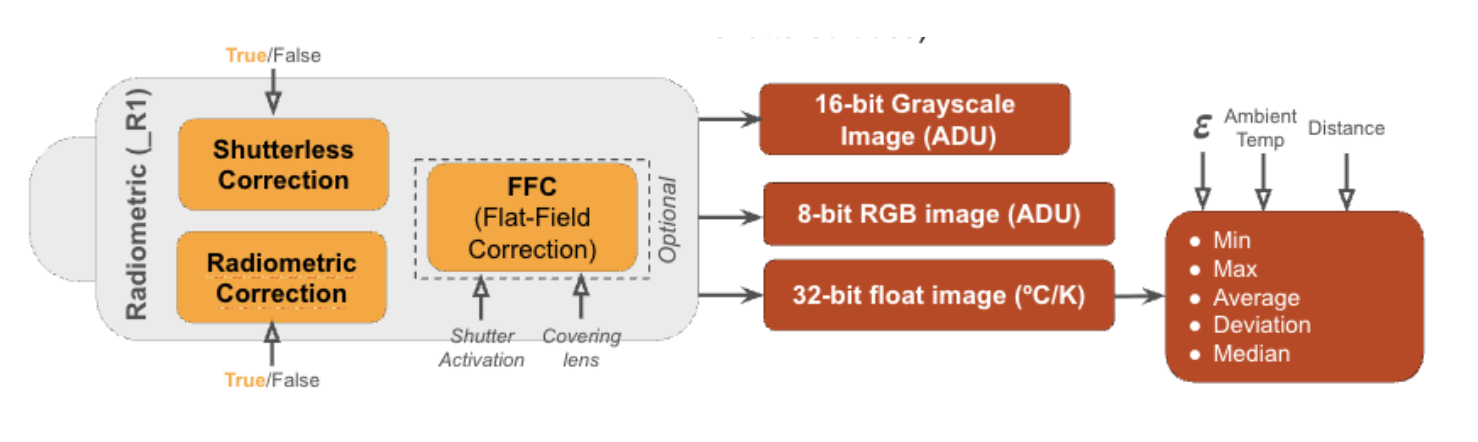 Niels 12 radiometric shutterless operation returning absolute temperature per pixel