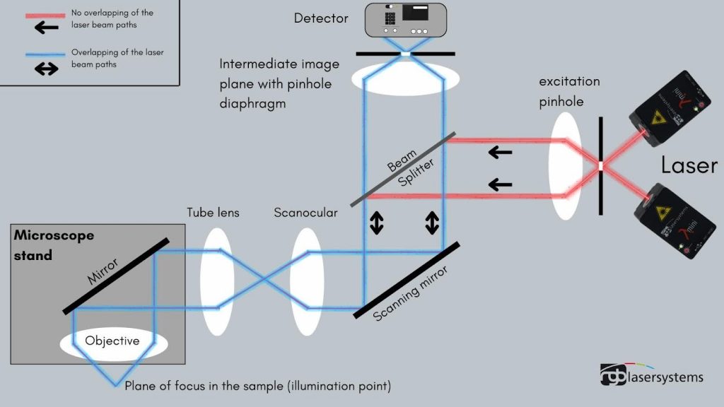 confocal microscopy setup using 532 nm laser illumination