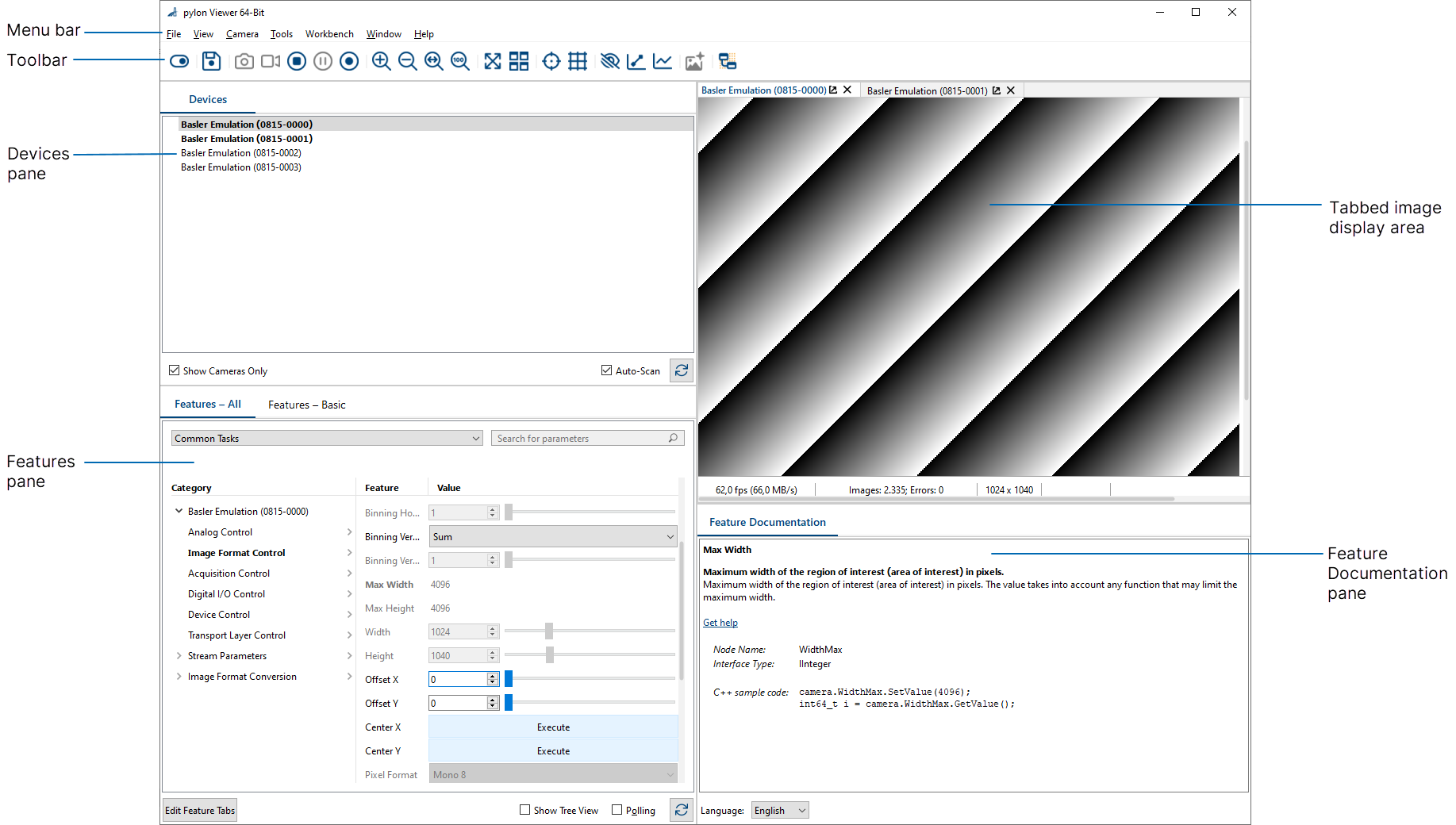 pylon viewer software for Torricam