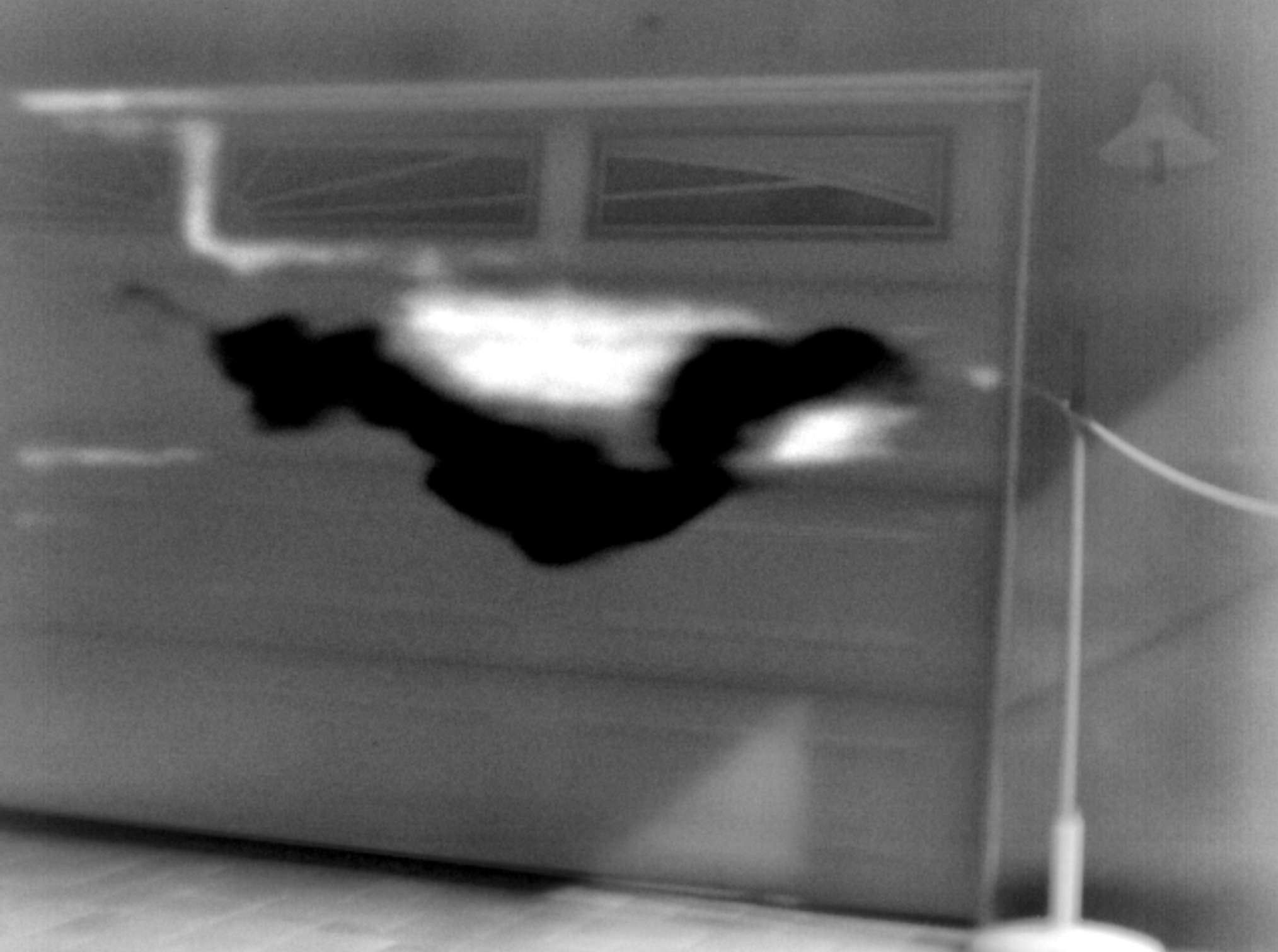 OGICam 640 OGI plume polarity example showing bright and dark plume responses over a grayscale background