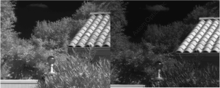 comparison between ingaas and extended range ingaas