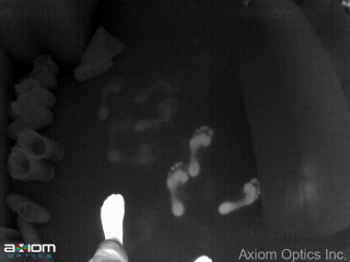 Footprints-watermarked